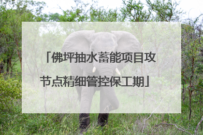 佛坪抽水蓄能项目攻节点精细管控保工期