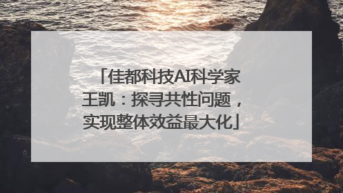 佳都科技AI科学家王凯：探寻共性问题，实现整体效益最大化