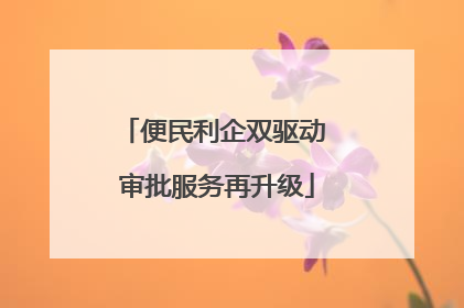 便民利企双驱动 审批服务再升级