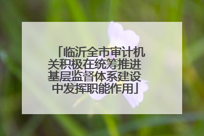 临沂全市审计机关积极在统筹推进基层监督体系建设中发挥职能作用