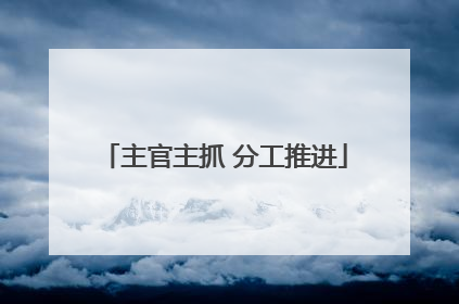 主官主抓 分工推进