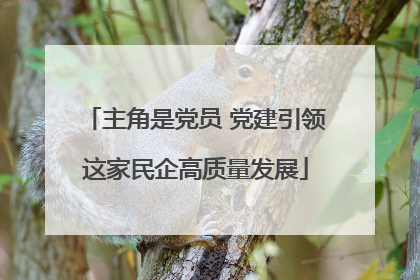 主角是党员 党建引领这家民企高质量发展