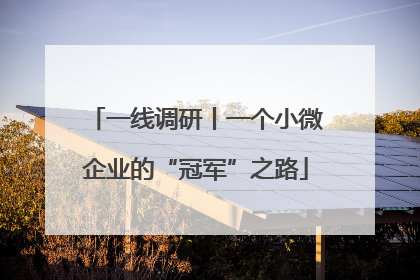 一线调研丨一个小微企业的“冠军”之路