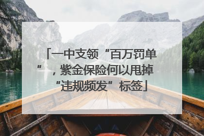 一中支领“百万罚单”，紫金保险何以甩掉“违规频发”标签
