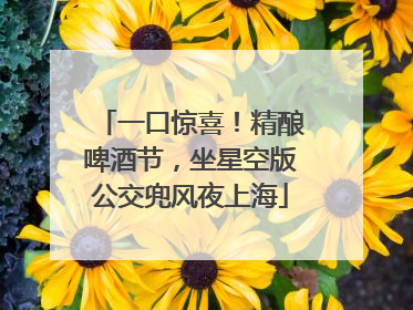 一口惊喜！精酿啤酒节，坐星空版公交兜风夜上海