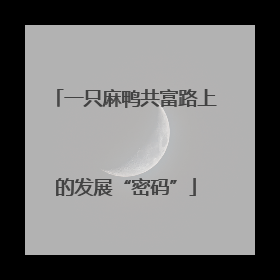 一只麻鸭共富路上的发展“密码”
