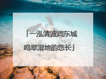 一泓清波润东城 鸣翠湿地韵悠长