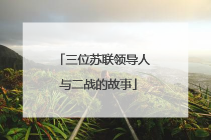 三位苏联领导人与二战的故事