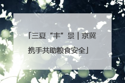 三夏“丰”景｜京冀携手共助粮食安全