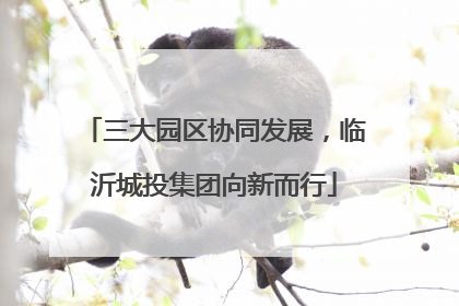 三大园区协同发展，临沂城投集团向新而行