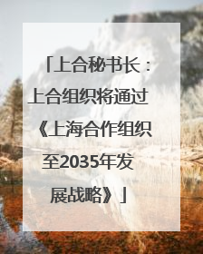 上合秘书长：上合组织将通过《上海合作组织至2035年发展战略》