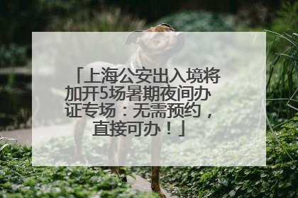 上海公安出入境将加开5场暑期夜间办证专场：无需预约，直接可办！