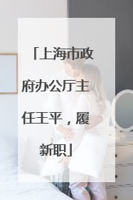 上海市政府办公厅主任王平，履新职