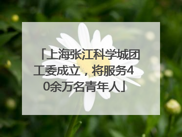 上海张江科学城团工委成立，将服务40余万名青年人