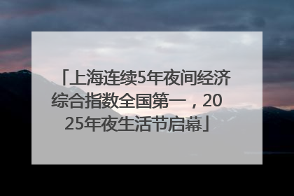 上海连续5年夜间经济综合指数全国第一，2025年夜生活节启幕