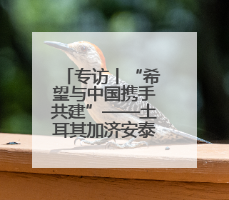 专访丨“希望与中国携手共建”——土耳其加济安泰普市长期待古丝路重镇焕发新活力