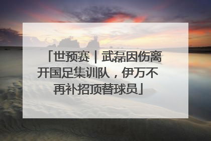 世预赛｜武磊因伤离开国足集训队，伊万不再补招顶替球员