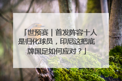 世预赛｜首发阵容十人是归化球员，印尼这把底牌国足如何应对？
