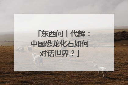 东西问丨代辉：中国恐龙化石如何对话世界？
