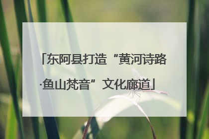 东阿县打造“黄河诗路·鱼山梵音”文化廊道