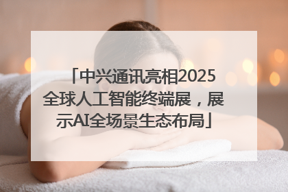 中兴通讯亮相2025全球人工智能终端展，展示AI全场景生态布局