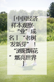 中国经济样本观察·一“业”成名丨“老树发新芽”！“浏阳烟花”燃亮世界