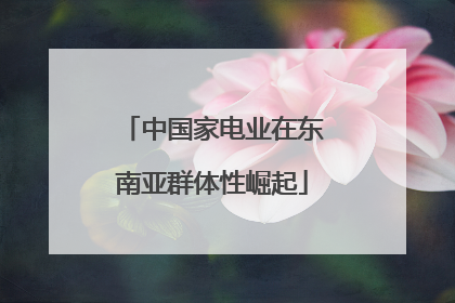 中国家电业在东南亚群体性崛起