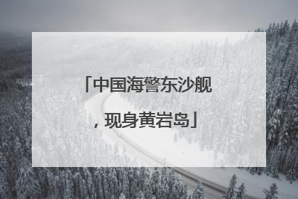 中国海警东沙舰，现身黄岩岛