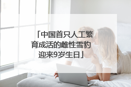 中国首只人工繁育成活的雌性雪豹迎来9岁生日