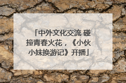 中外文化交流 碰撞青春火花，《小伙小妹换游记》开播