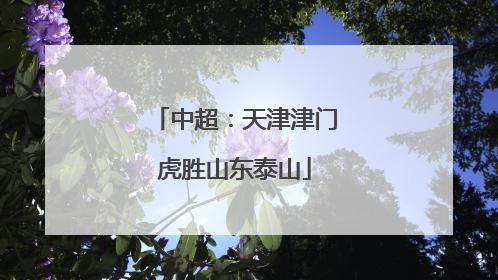 中超：天津津门虎胜山东泰山
