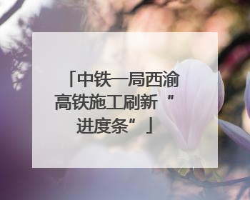 中铁一局西渝高铁施工刷新“进度条”