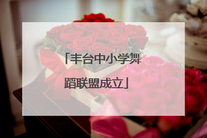 丰台中小学舞蹈联盟成立