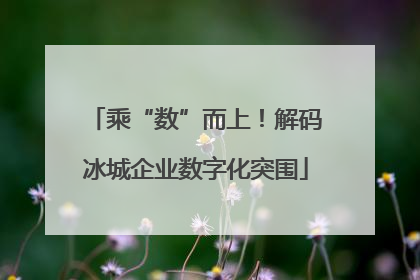 乘“数”而上！解码冰城企业数字化突围