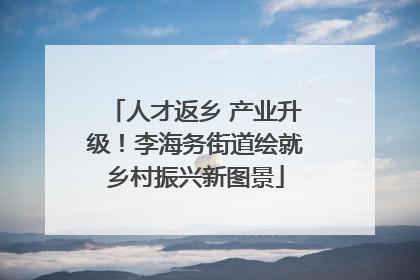 人才返乡 产业升级！李海务街道绘就乡村振兴新图景