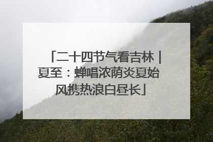二十四节气看吉林｜夏至：蝉唱浓荫炎夏始 风携热浪白昼长
