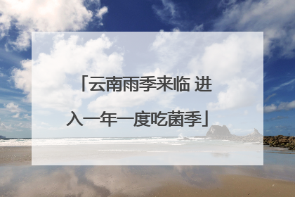 云南雨季来临 进入一年一度吃菌季