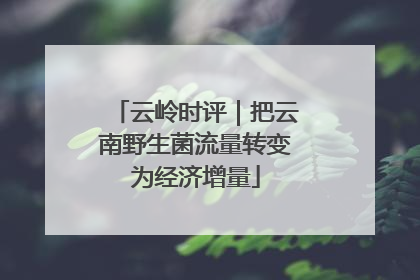 云岭时评｜把云南野生菌流量转变为经济增量
