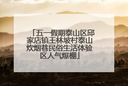 五一假期泰山区邱家店镇王林坡村泰山炊烟巷民俗生活体验区人气爆棚