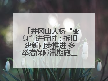 井冈山大桥“变身”进行时：拆旧建新同步推进 多举措保障汛期施工（图）