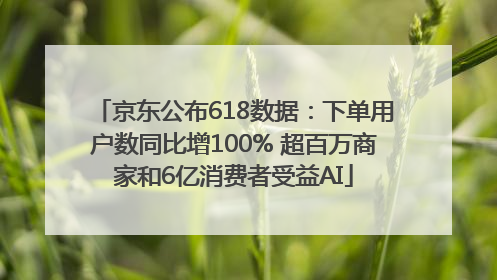 京东公布618数据：下单用户数同比增100% 超百万商家和6亿消费者受益AI