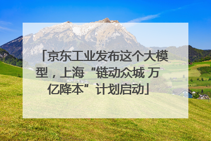 京东工业发布这个大模型，上海“链动众城 万亿降本”计划启动