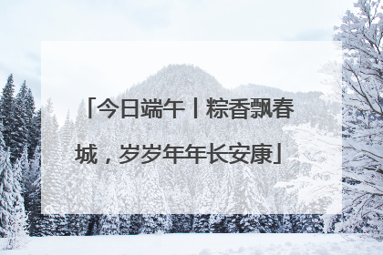 今日端午丨粽香飘春城，岁岁年年长安康