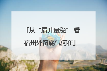 从“质升量稳” 看宿州外贸底气何在