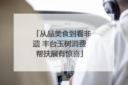 从品美食到看非遗 丰台玉树消费帮扶展有惊喜