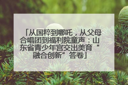从国粹到哪吒，从父母合唱团到福利院童声：山东省青少年宫交出美育“融合创新”答卷