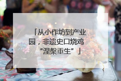从小作坊到产业园，非遗史口烧鸡“涅槃重生”