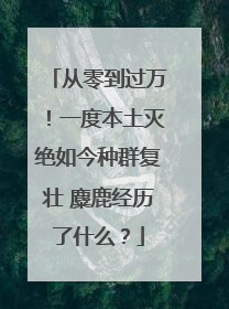 从零到过万！一度本土灭绝如今种群复壮 麋鹿经历了什么？