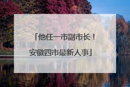 他任一市副市长！安徽四市最新人事