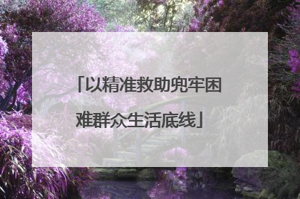 以精准救助兜牢困难群众生活底线